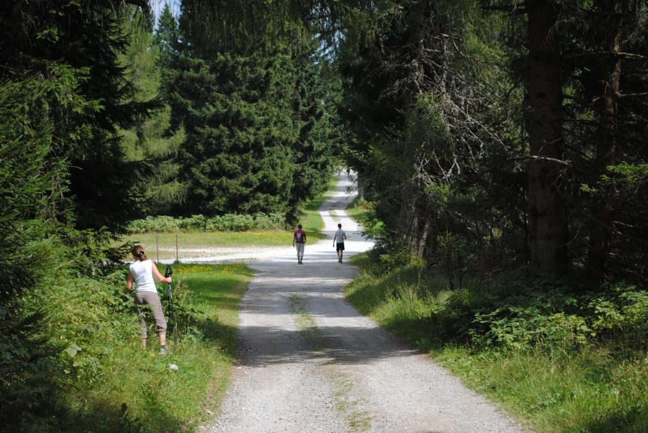 Prenocisca Cerkno Hostel Exterior foto